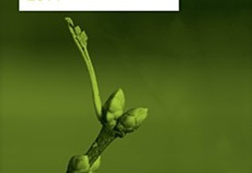 Venture Capital Espa&ntilde;a - Anual 2014